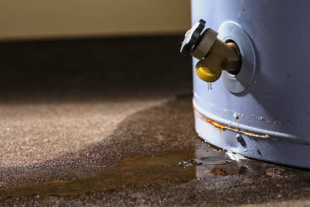 Best Water damage restoration near me  in Kings Point, NY