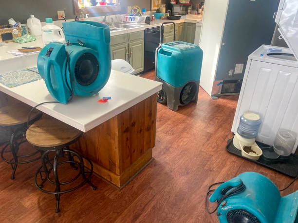 Best Sewage cleanup and water damage restoration  in Kings Point, NY