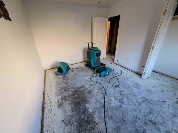 Best Commercial water damage restoration  in Kings Point, NY