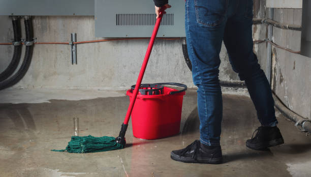 Best Basement water damage restoration  in Kings Point, NY